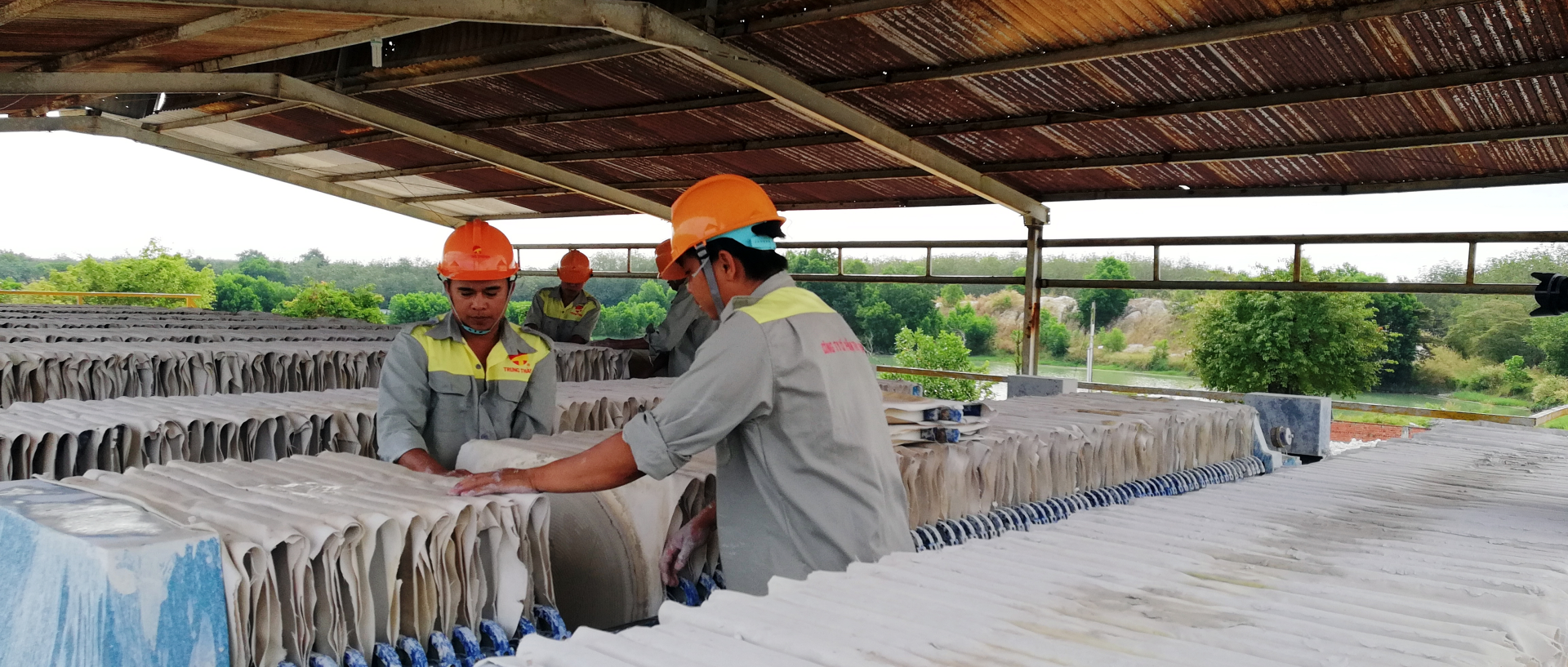 Sản phẩm 567316514484798vi0.jpg — Công Ty Cổ Phần Trung Thành — MST 3700217123