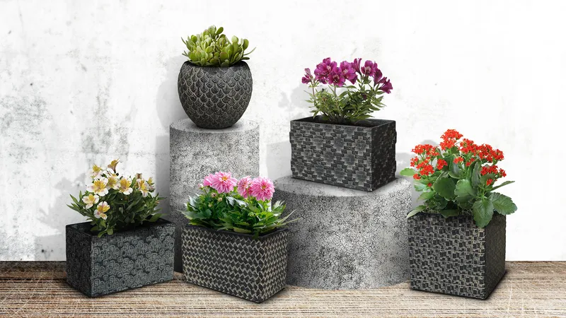 Sản phẩm 4 pc anh web — Công Ty TNHH MTV Gốm Sứ Mỹ Nghệ Kim Phát — MST 3700304023