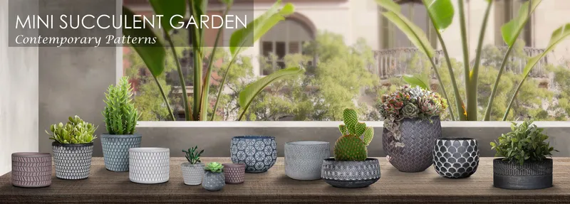 Sản phẩm MINI SUCCULENT GARDEN — Công Ty TNHH MTV Gốm Sứ Mỹ Nghệ Kim Phát — MST 3700304023