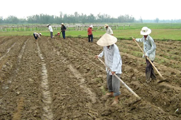 Sản phẩm ky thuat canh tac — Công Ty Cổ Phần Hữu Cơ DAITO — MST 3700320025
