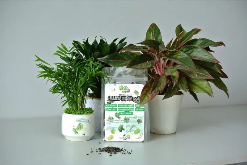 Sản phẩm z6573820511475_99638dd6c0c9f5274cdb403c478302f2 1024x686 — Công Ty Cổ Phần Hữu Cơ DAITO — MST 3700320025