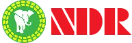Logo Công Ty TNHH Cao Su Nguyễn Đỉnh