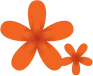 Sản phẩm flower — Chứng Khoán Yuanta - Công Ty TNHH Chứng Khoán Yuanta Việt Nam — MST 3700334885