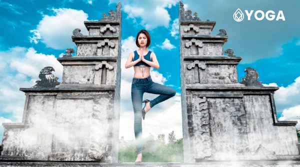 Sản phẩm Product yoga — Dệt Tường Long - Công Ty TNHH Dệt Tường Long — MST 3700352570