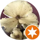 Sản phẩm ChIJt_dO9rPYdDER7biujJNHkx8_f7611d8a1963b3f40dff3489593e9119 — Giấy Phát Đạt - Công Ty TNHH Sản Xuất Thương Mại Giấy Phát Đạt — MST 3700367633