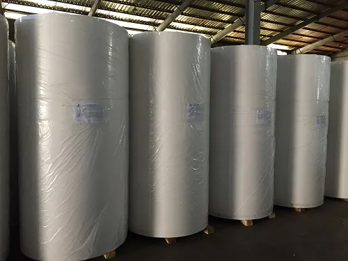 Sản phẩm Cuon Jumbo — Công Ty Cổ Phần Sản Xuất Thương Mại Mizu Paper — MST 3700392816