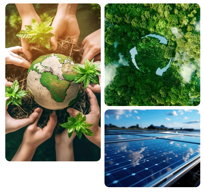 Sản phẩm sustain — Công Ty TNHH Kian Joo Can (Việt Nam) — MST 3700404116