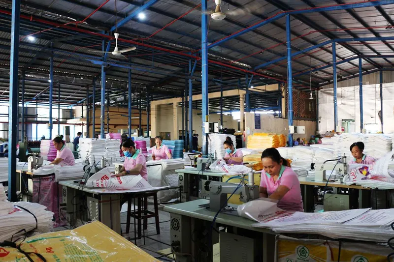 Sản phẩm ep mieng_017 — Bao PP Dệt Toàn Phát - Công Ty TNHH Toàn Phát — MST 3700456594
