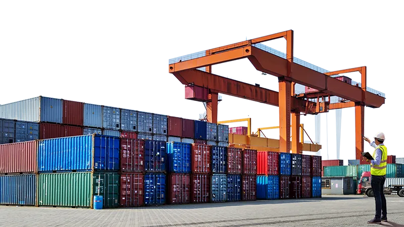 Sản phẩm DV_DLTTHQ — U&I Logistics - Công Ty Cổ Phần Logistics U&I — MST 3700492666