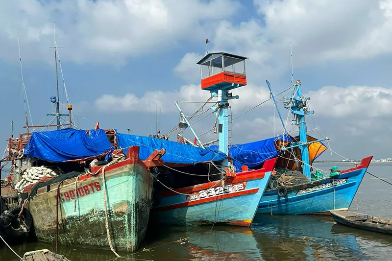 Sản phẩm dan dung 5 — Bạt Nhựa Gia Lợi - Công Ty CP Gia Lợi — MST 3700496822
