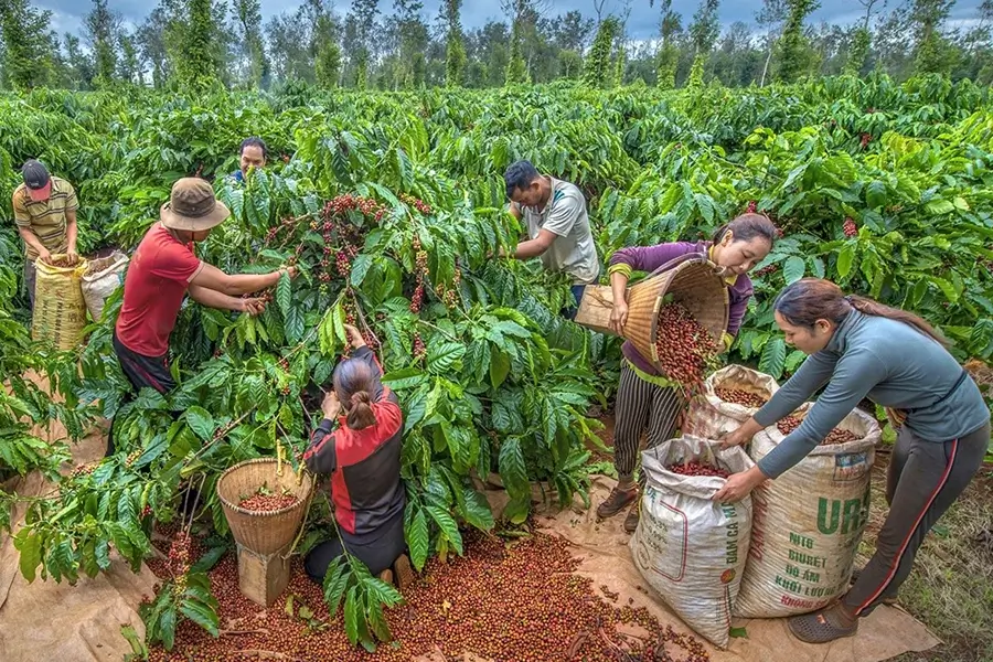 Sản phẩm NN1 — Bạt Nhựa Gia Lợi - Công Ty CP Gia Lợi — MST 3700496822