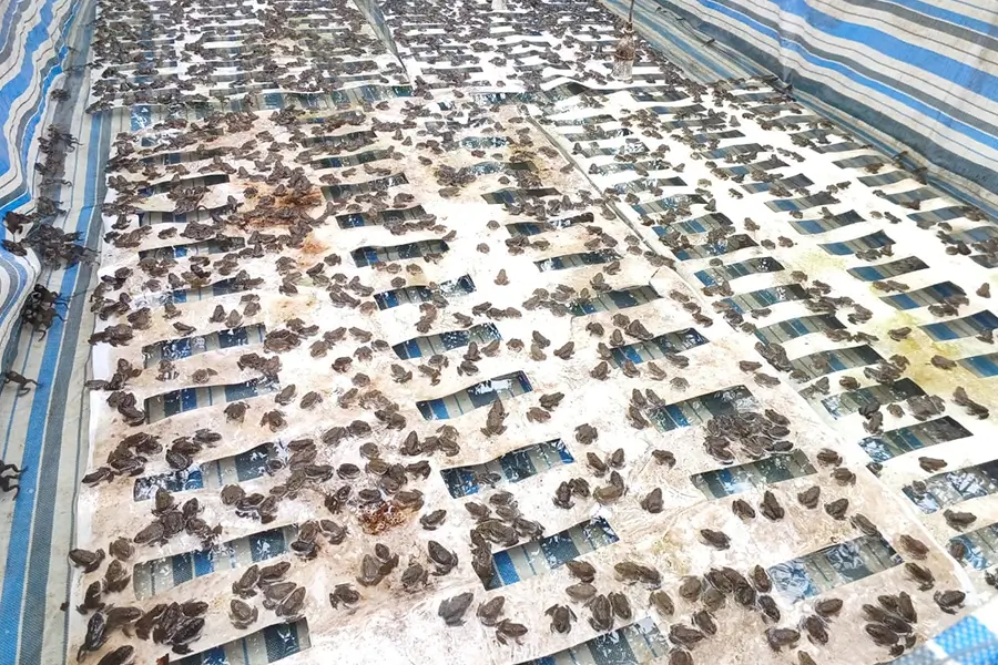 Sản phẩm thuy san 4 — Bạt Nhựa Gia Lợi - Công Ty CP Gia Lợi — MST 3700496822