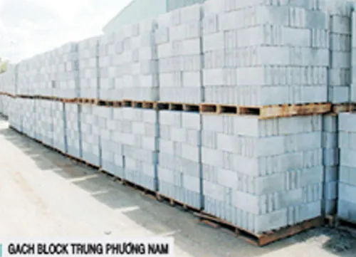 Sản phẩm GACH BLOCK — Doanh Nghiệp Tư Nhân Trung Phương Nam — MST 3700515539