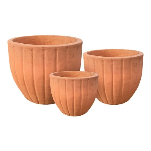 Sản phẩm hinh4 — Công Ty TNHH Tân Toàn Phát — MST 3700526040