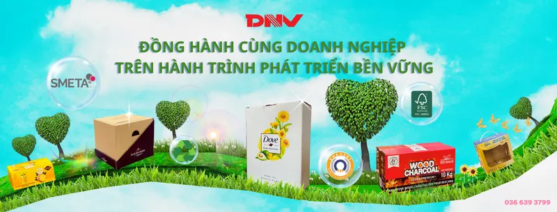 Sản phẩm 1 0785 — Công Ty CP Bao Bì Đông Nam Việt — MST 3700538504