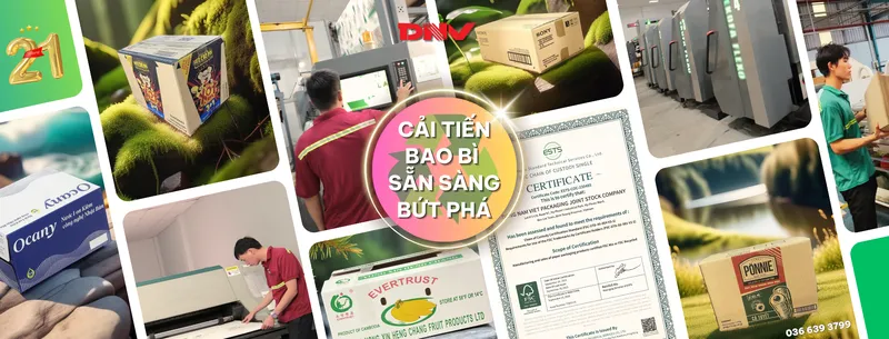 Sản phẩm 2 5563 — Công Ty CP Bao Bì Đông Nam Việt — MST 3700538504