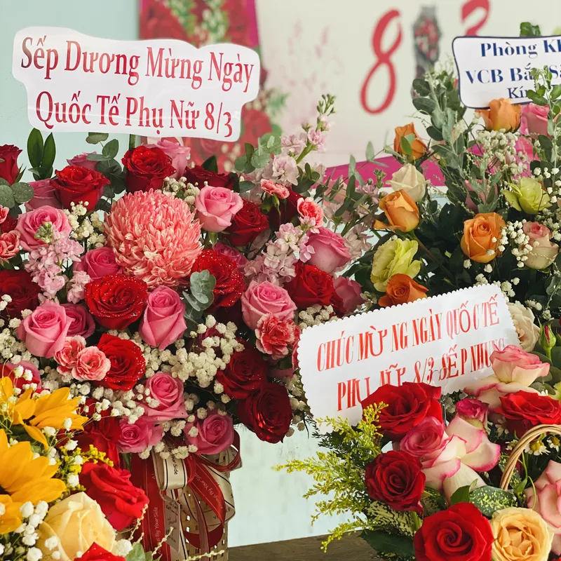 Sản phẩm quoc te phu nu 1 dnvpack 3157 — Công Ty CP Bao Bì Đông Nam Việt — MST 3700538504