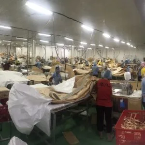 Sản phẩm z3977092820557_aa0d838db89e65268720d2b8dbb32dd6 1 300x300 — Công Ty TNHH Sản Xuất Thương Mại Kiên Thạnh — MST 3700542282