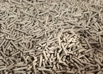 Sản phẩm 42 6199 — Ván Gỗ Minh Trí - Công Ty TNHH Chế Biến Gỗ Minh Trí — MST 3700556461