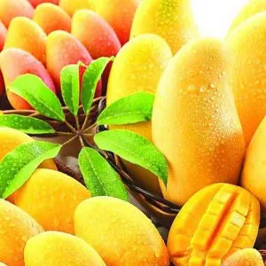 Sản phẩm desktop mango juicy spring wallpaper 300x300 — Nước Giải Khát Rita - Công Ty TNHH Thực Phẩm Và Nước Giải Khát Rita — MST 3700574950