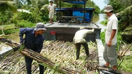 Sản phẩm cong nghe xu ly nuoc thai mia duong 4 e1776746426617 — Công Ty TNHH Môi Trường Ngọc Lân — MST 3700670037