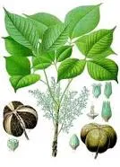 Sản phẩm 224745978354 — Cao Su Tân Triều - Công Ty TNHH Tân Triều — MST 3700691372