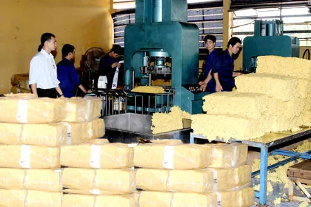 Sản phẩm 6044389551538890 — Cao Su Tân Triều - Công Ty TNHH Tân Triều — MST 3700691372