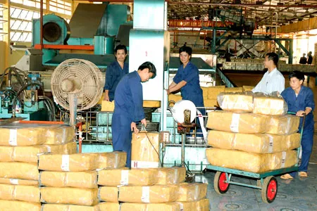 Sản phẩm 6044389551538891 — Cao Su Tân Triều - Công Ty TNHH Tân Triều — MST 3700691372