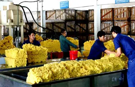 Sản phẩm 613741833220719 — Cao Su Tân Triều - Công Ty TNHH Tân Triều — MST 3700691372