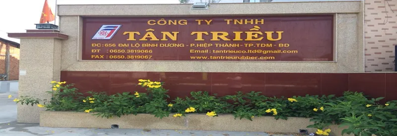 Sản phẩm 6875369917031063 — Cao Su Tân Triều - Công Ty TNHH Tân Triều — MST 3700691372