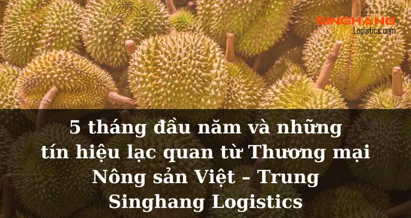 Sản phẩm bien dong thi truong 295 — Dịch Vụ Logistics Hưng Hằng - Công Ty TNHH Một Thành Viên Hưng Hằng Logistics — MST 3700712015