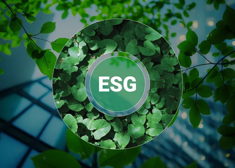 Sản phẩm ancuong esg in action — Công Ty CP Gỗ An Cường — MST 3700748131