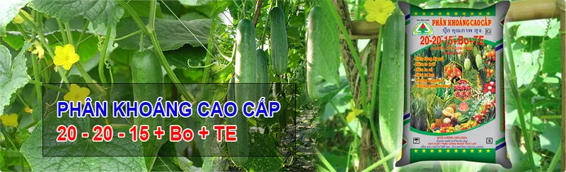 Sản phẩm img101 — Phân Bón Đất Xanh - Công Ty Cổ Phần Sản Xuất Thương Mại Phân Bón Đất Xanh — MST 3700773346
