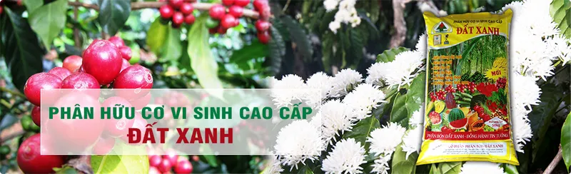 Sản phẩm img3 — Phân Bón Đất Xanh - Công Ty Cổ Phần Sản Xuất Thương Mại Phân Bón Đất Xanh — MST 3700773346