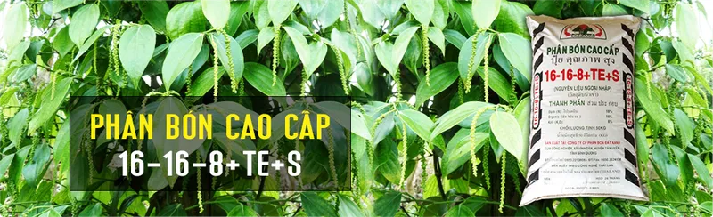 Sản phẩm img4 — Phân Bón Đất Xanh - Công Ty Cổ Phần Sản Xuất Thương Mại Phân Bón Đất Xanh — MST 3700773346