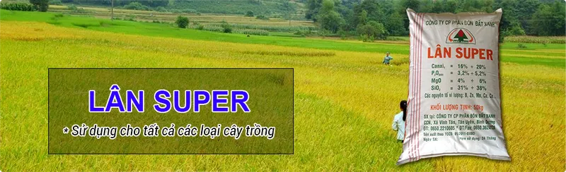Sản phẩm img6 — Phân Bón Đất Xanh - Công Ty Cổ Phần Sản Xuất Thương Mại Phân Bón Đất Xanh — MST 3700773346