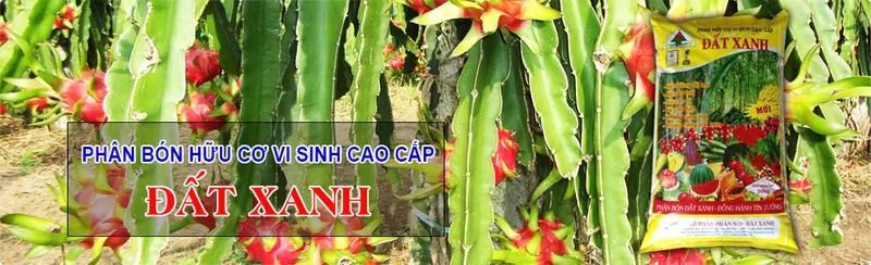 Sản phẩm img7 — Phân Bón Đất Xanh - Công Ty Cổ Phần Sản Xuất Thương Mại Phân Bón Đất Xanh — MST 3700773346