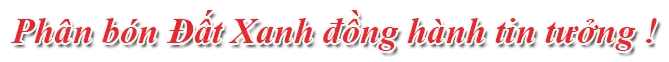 Sản phẩm text_pbdx — Phân Bón Đất Xanh - Công Ty Cổ Phần Sản Xuất Thương Mại Phân Bón Đất Xanh — MST 3700773346