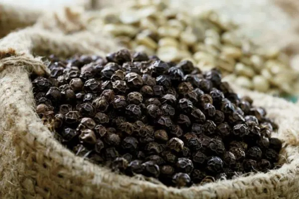 Sản phẩm tieu den — Phân Bón Đất Xanh - Công Ty Cổ Phần Sản Xuất Thương Mại Phân Bón Đất Xanh — MST 3700773346