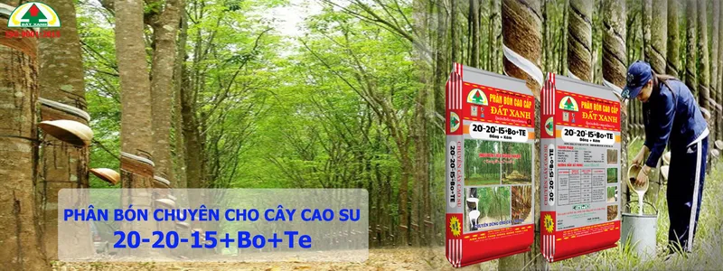 Sản phẩm Untitled 3 — Phân Bón Đất Xanh - Công Ty Cổ Phần Sản Xuất Thương Mại Phân Bón Đất Xanh — MST 3700773346