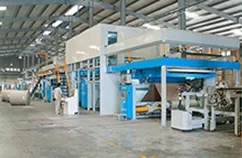 Sản phẩm champion2 — Bao Bì Carton Tân Tấn Lộc - Công Ty CP Tân Tấn Lộc — MST 3700793166
