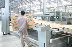 Sản phẩm mayin6mau3 — Bao Bì Carton Tân Tấn Lộc - Công Ty CP Tân Tấn Lộc — MST 3700793166