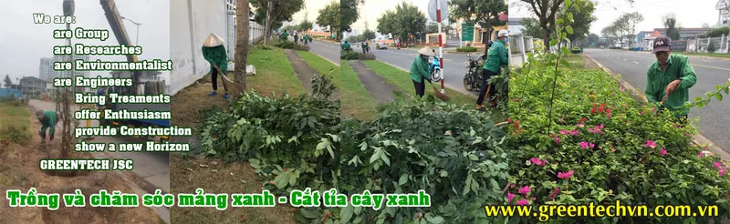 Sản phẩm Flash 3_133037396752454856 — Công Ty Cổ Phần Dịch Vụ Công Nghệ Xanh — MST 3700798196