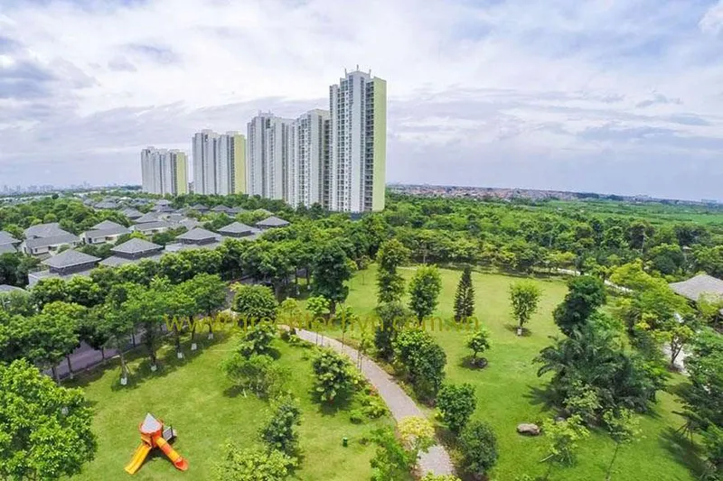 Sản phẩm Ha tang canh quan — Công Ty Cổ Phần Dịch Vụ Công Nghệ Xanh — MST 3700798196