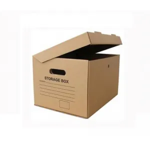 Sản phẩm Thung carton be 1 — Bao Bì Xuân Quang - Công Ty TNHH MTV Xuân Quang — MST 3700831090