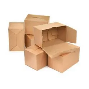 Sản phẩm Thung carton be 4 — Bao Bì Xuân Quang - Công Ty TNHH MTV Xuân Quang — MST 3700831090