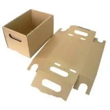 Sản phẩm Thung carton be 5 — Bao Bì Xuân Quang - Công Ty TNHH MTV Xuân Quang — MST 3700831090