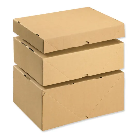 Sản phẩm Thung carton be 7 — Bao Bì Xuân Quang - Công Ty TNHH MTV Xuân Quang — MST 3700831090