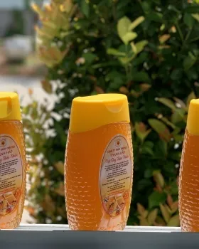 Sản phẩm a80cdd414125987bc1341945_280x350 — Ong Mật Thanh Hảo - Công Ty TNHH Ong Mật Thanh Hảo — MST 3700838265