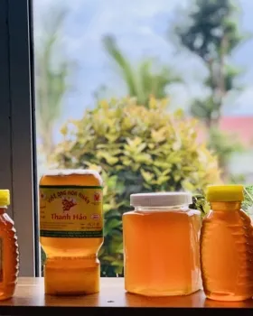 Sản phẩm ba418feb93a54bfb12b42752_280x350 — Ong Mật Thanh Hảo - Công Ty TNHH Ong Mật Thanh Hảo — MST 3700838265